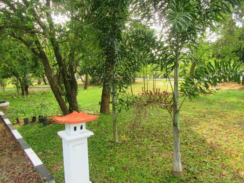 Hotel Tree Garden Wilpaththu Nochchiyagma Anuradhapura Nochchiyagama 외부 사진