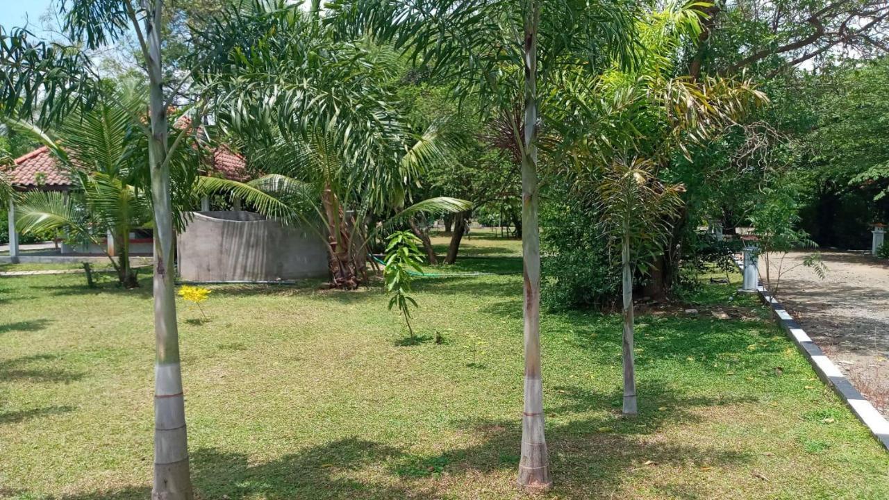 Hotel Tree Garden Wilpaththu Nochchiyagma Anuradhapura Nochchiyagama 외부 사진