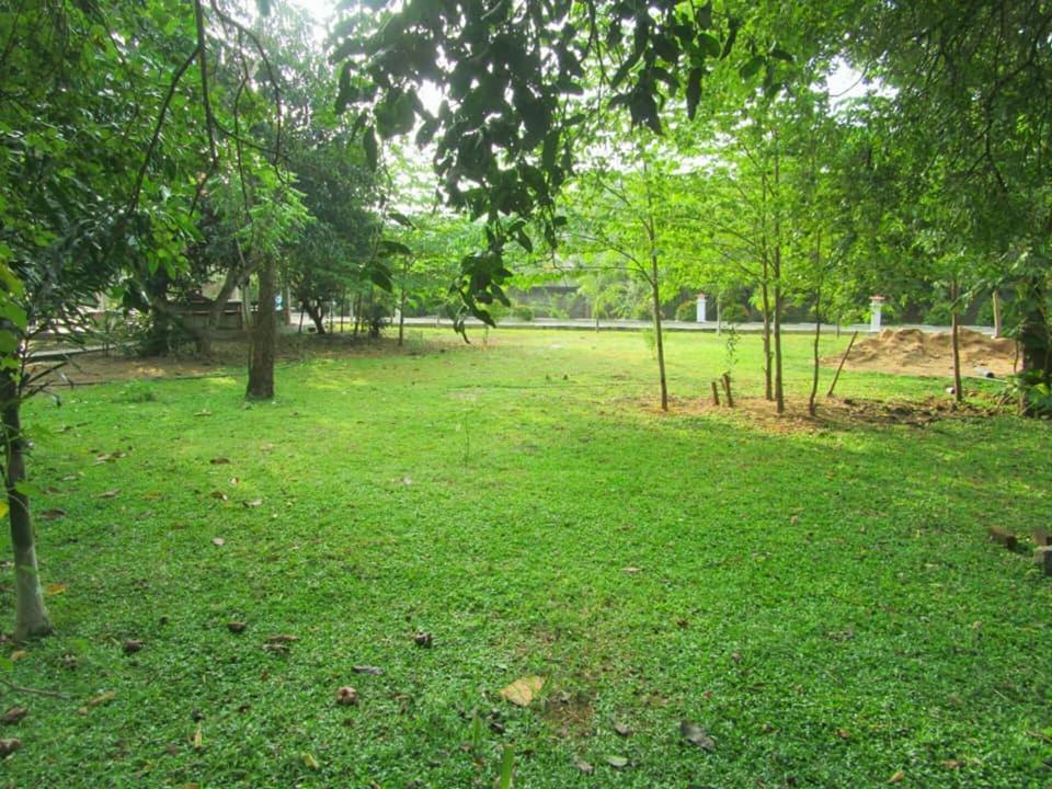 Hotel Tree Garden Wilpaththu Nochchiyagma Anuradhapura Nochchiyagama 외부 사진