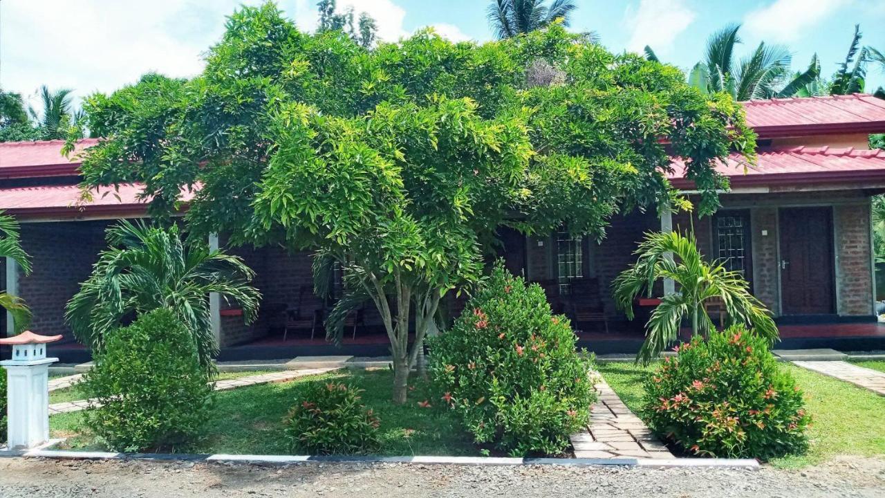 Hotel Tree Garden Wilpaththu Nochchiyagma Anuradhapura Nochchiyagama 외부 사진