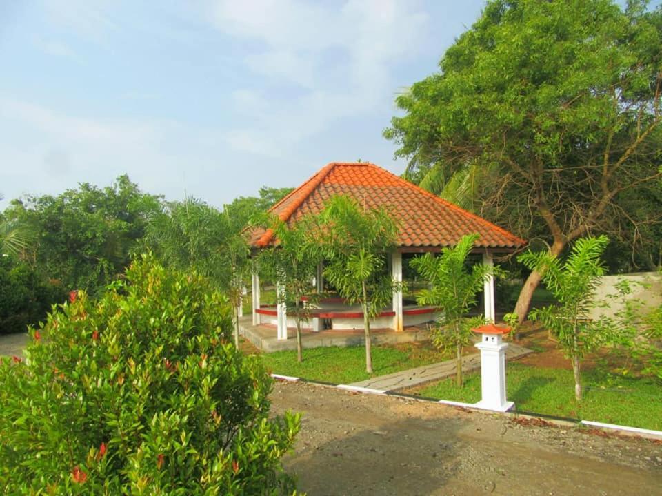 Hotel Tree Garden Wilpaththu Nochchiyagma Anuradhapura Nochchiyagama 외부 사진