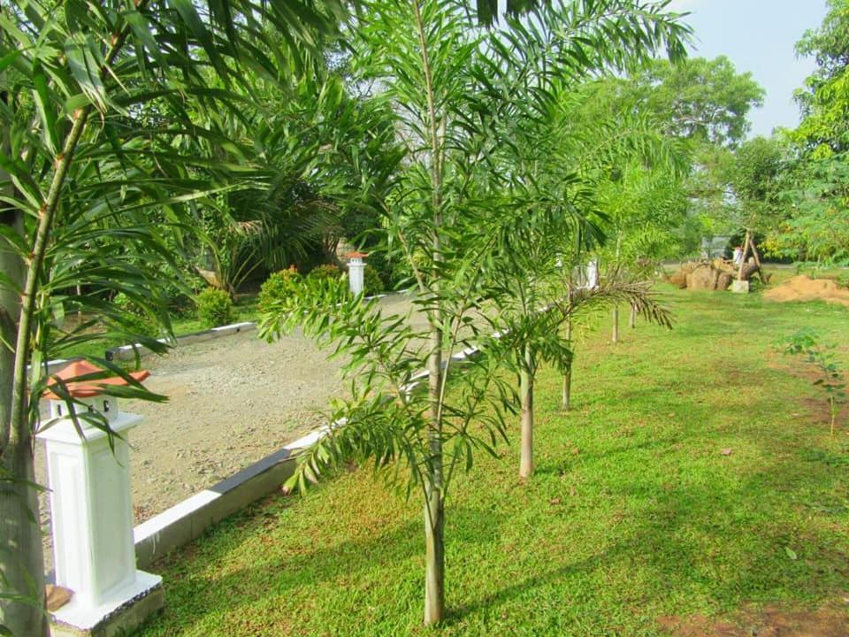 Hotel Tree Garden Wilpaththu Nochchiyagma Anuradhapura Nochchiyagama 외부 사진