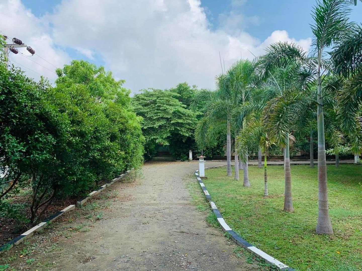 Hotel Tree Garden Wilpaththu Nochchiyagma Anuradhapura Nochchiyagama 외부 사진