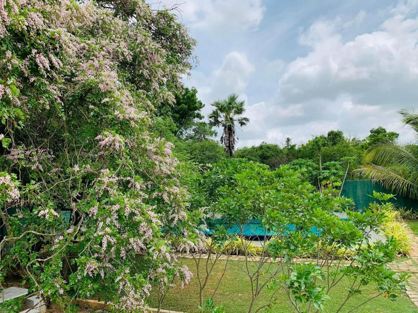 Hotel Tree Garden Wilpaththu Nochchiyagma Anuradhapura Nochchiyagama 외부 사진