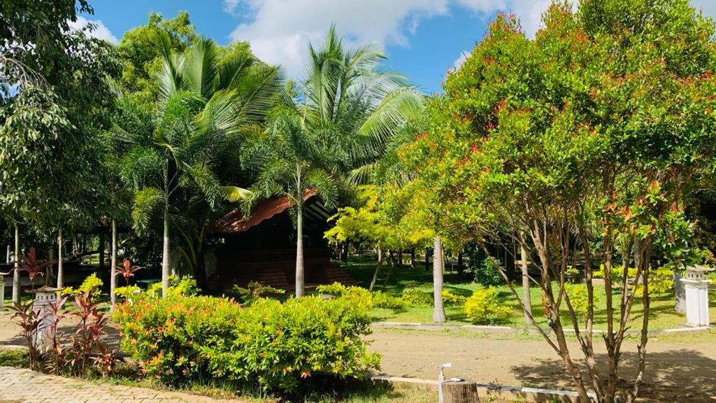 Hotel Tree Garden Wilpaththu Nochchiyagma Anuradhapura Nochchiyagama 외부 사진